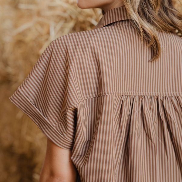 Button Down Blouse, Cinnamon Stripe Online - Image 2
